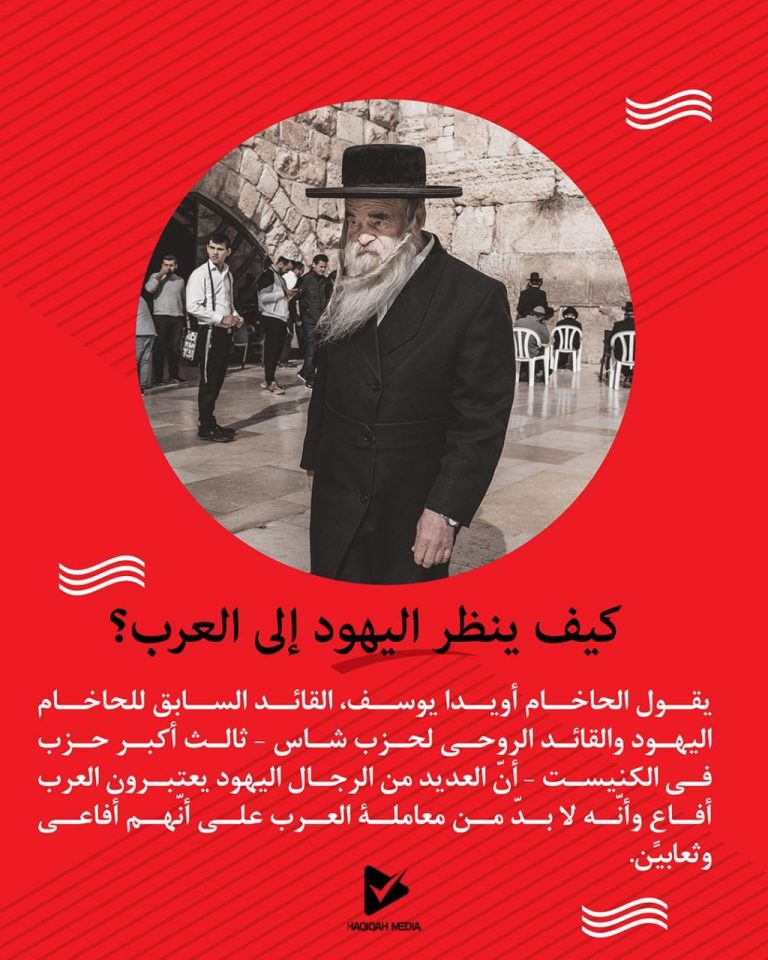 کیف ينظر اليهود إلى العرب؟