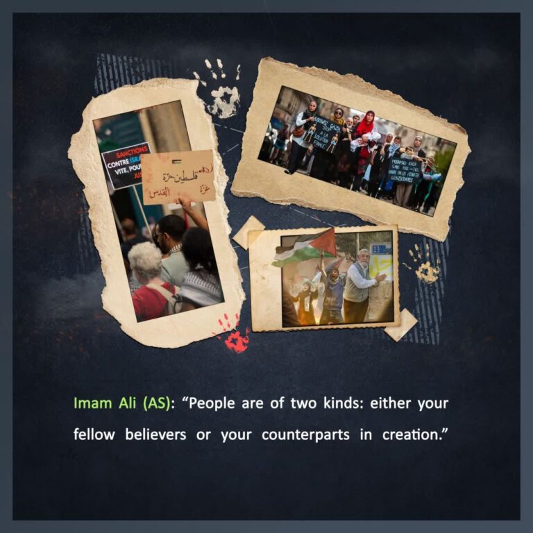 fellow believers