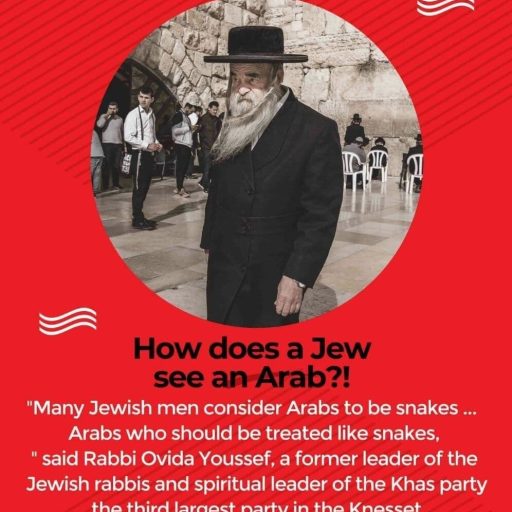 How does a Jew see an Arab?!