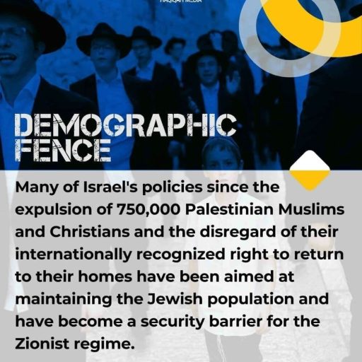 DEMOGRAPHIC FRNCE