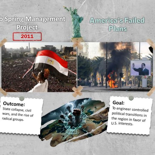 Arab Spring Management project 2011