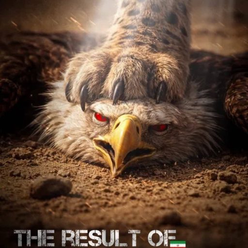 THE RESULT OF CHALLENGING IRAN
